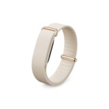 画面なし『Google Fitbit Air』発売の画像