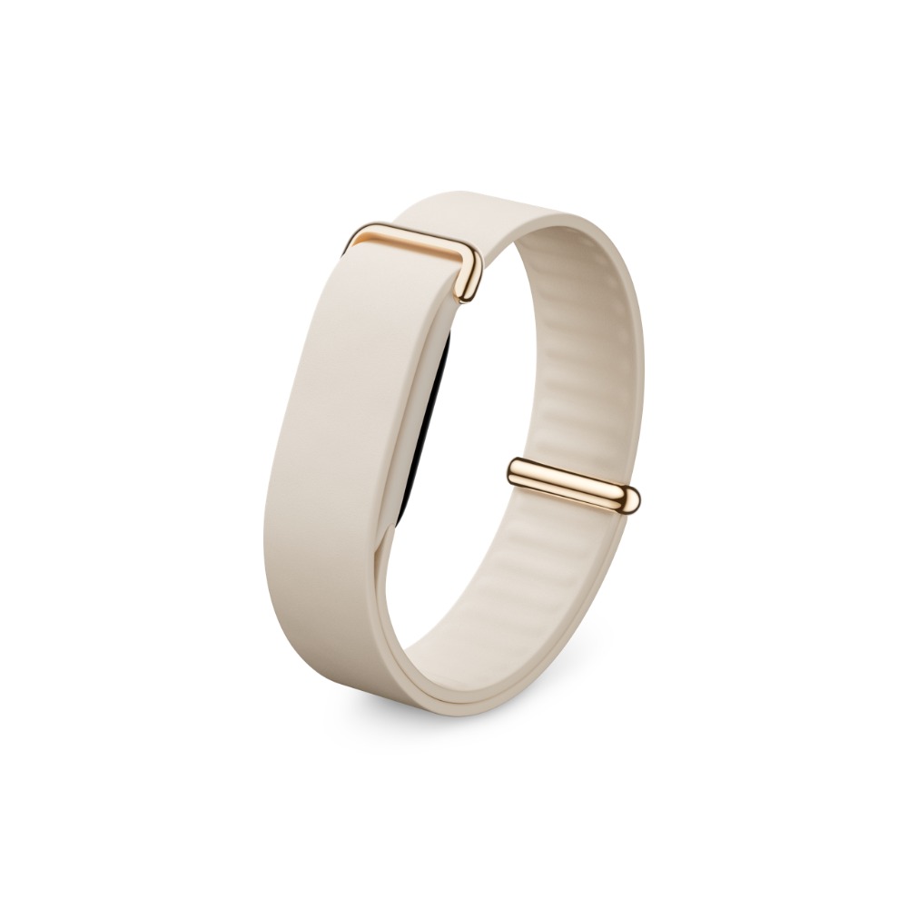 画面なし『Google Fitbit Air』発売の画像