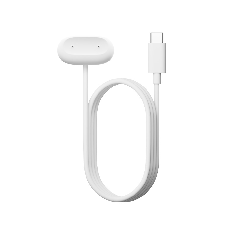 画面なし『Google Fitbit Air』発売の画像