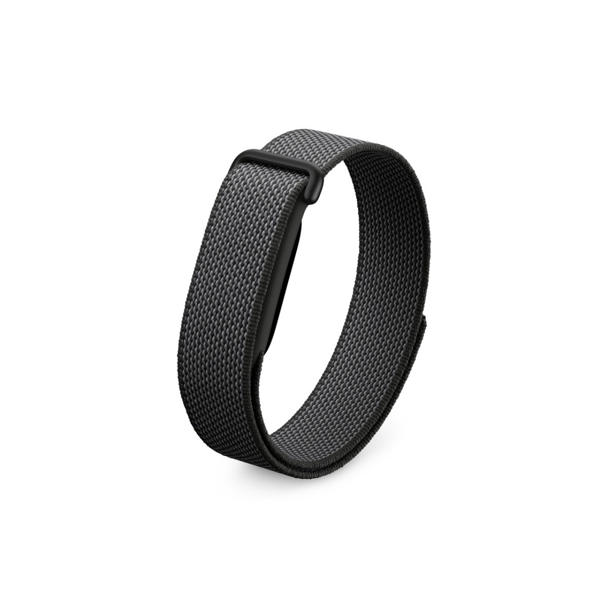 画面なし『Google Fitbit Air』発売の画像