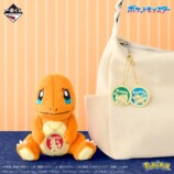 ヒトカゲとメダルチャーム