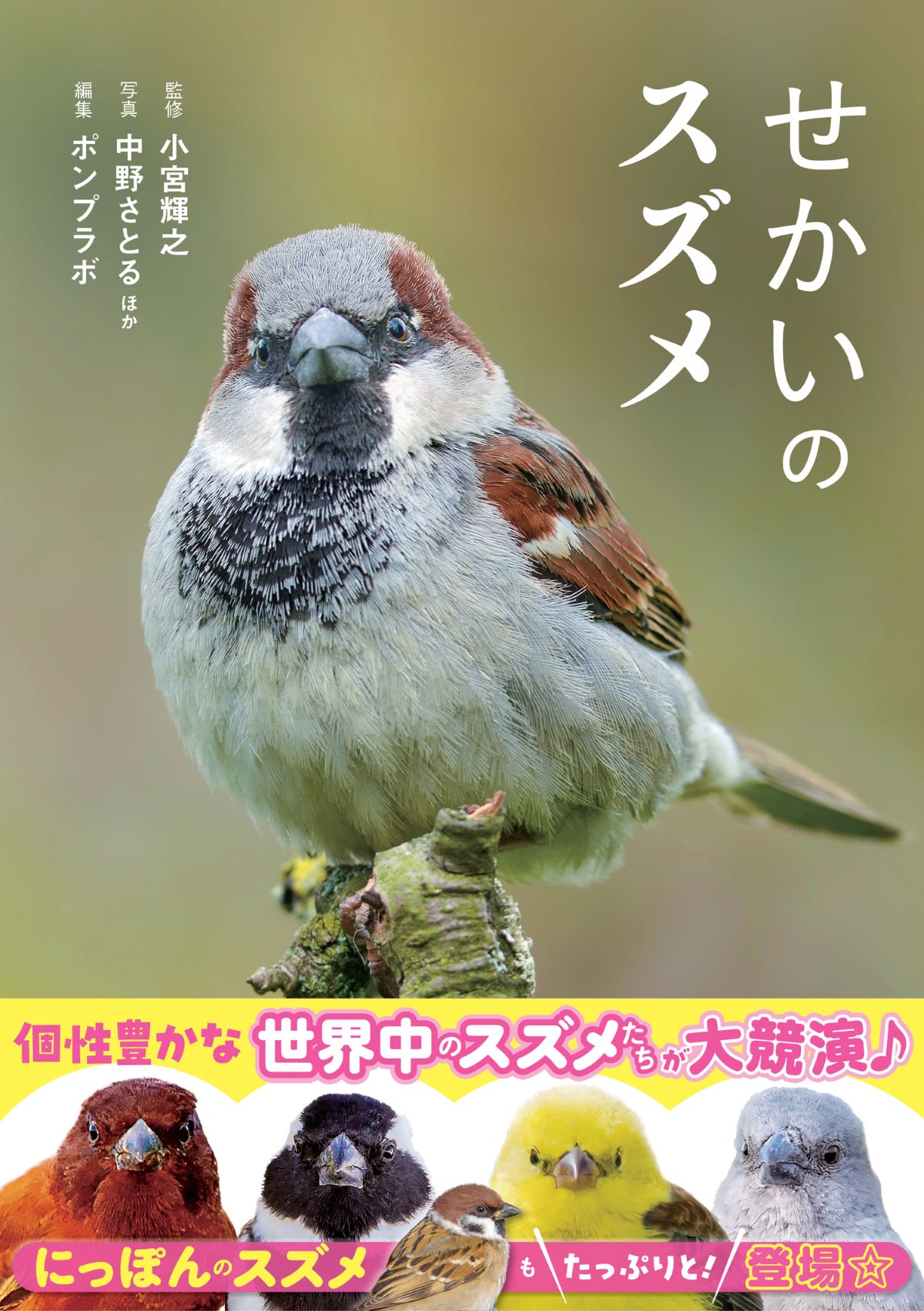 『せかいのスズメ』5月7日刊行　世界28種を紹介の画像