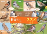 『せかいのスズメ』5月7日刊行　世界28種を紹介の画像