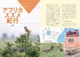 『せかいのスズメ』5月7日刊行　世界28種を紹介の画像