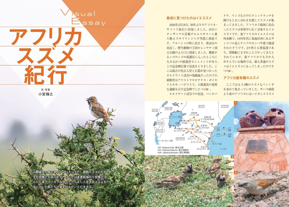 『せかいのスズメ』5月7日刊行　世界28種を紹介の画像