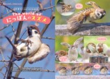 『せかいのスズメ』5月7日刊行　世界28種を紹介の画像