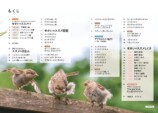 『せかいのスズメ』5月7日刊行　世界28種を紹介の画像
