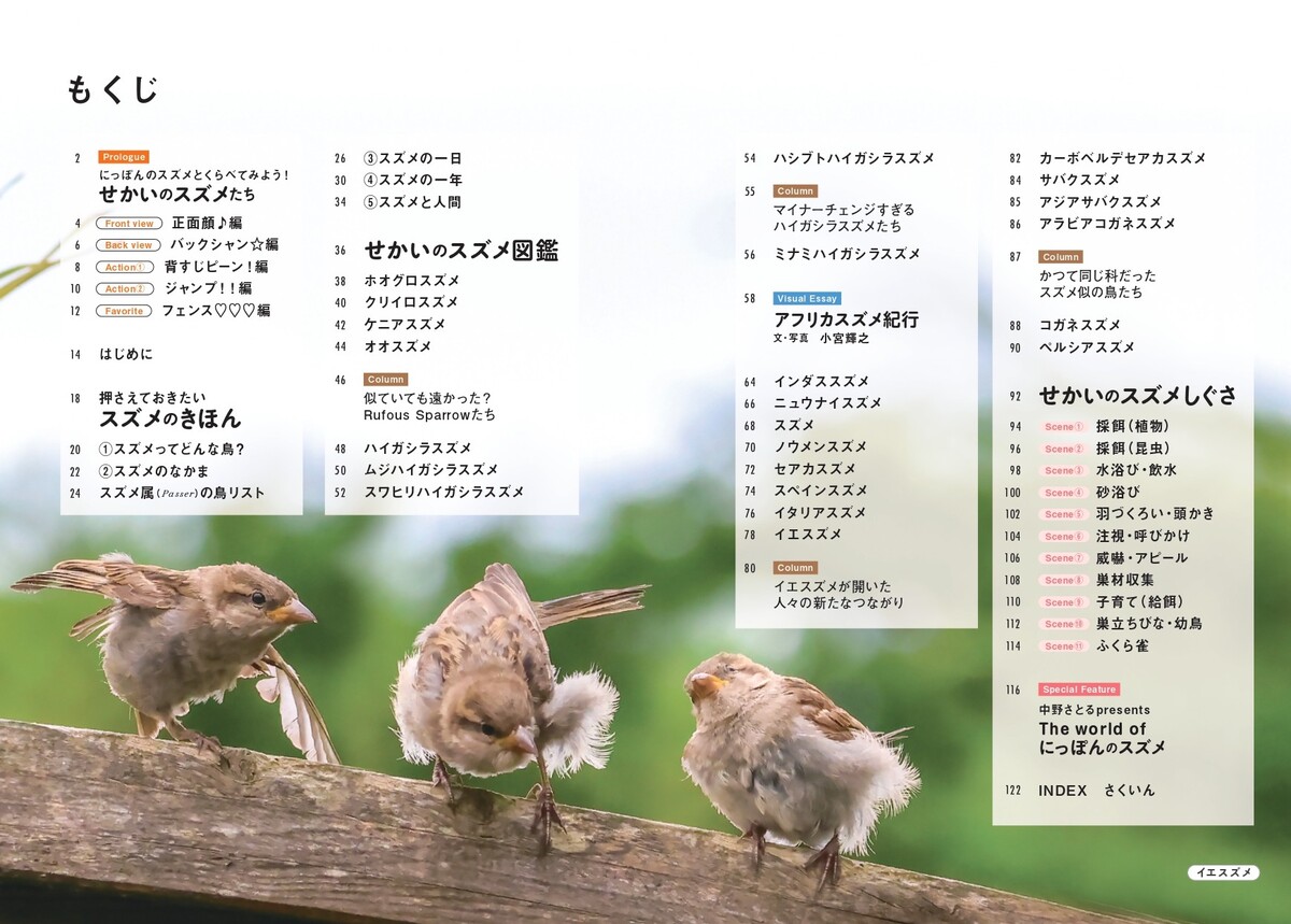 『せかいのスズメ』5月7日刊行　世界28種を紹介の画像