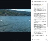 柊木陽太、成長した姿に驚きの声の画像