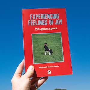 『Experiencing Feelings Of Joy』ジャケット写真