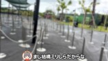 ぽんぽことピーナッツくんが訪れた『ジャングリア沖縄』
