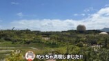 ぽんぽことピーナッツくんが訪れた『ジャングリア沖縄』