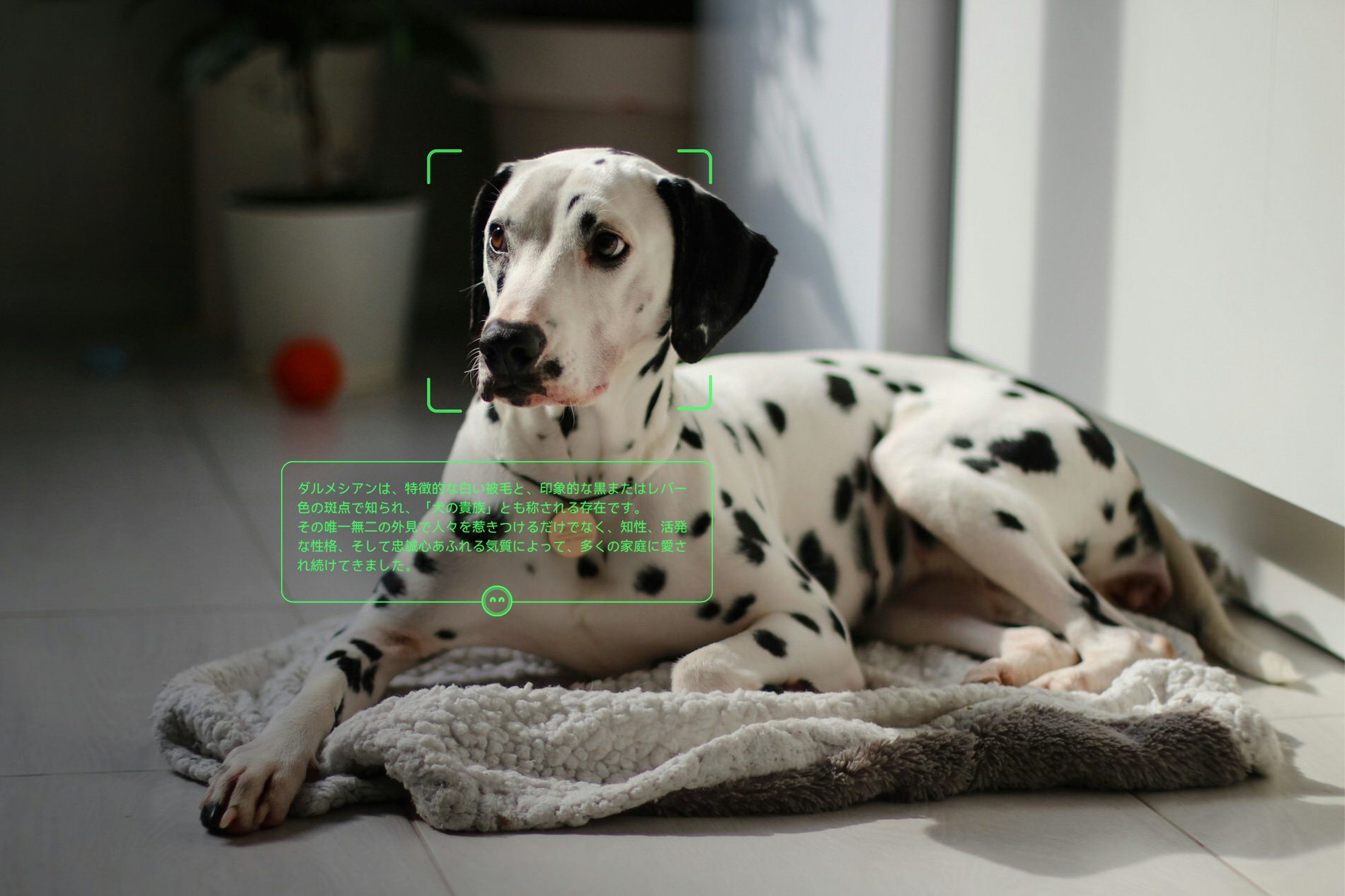『Rokid』の文字起こし機能のイメージ図
