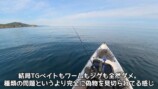 釣り系YouTuber、巨大すぎるナブラに遭遇の画像