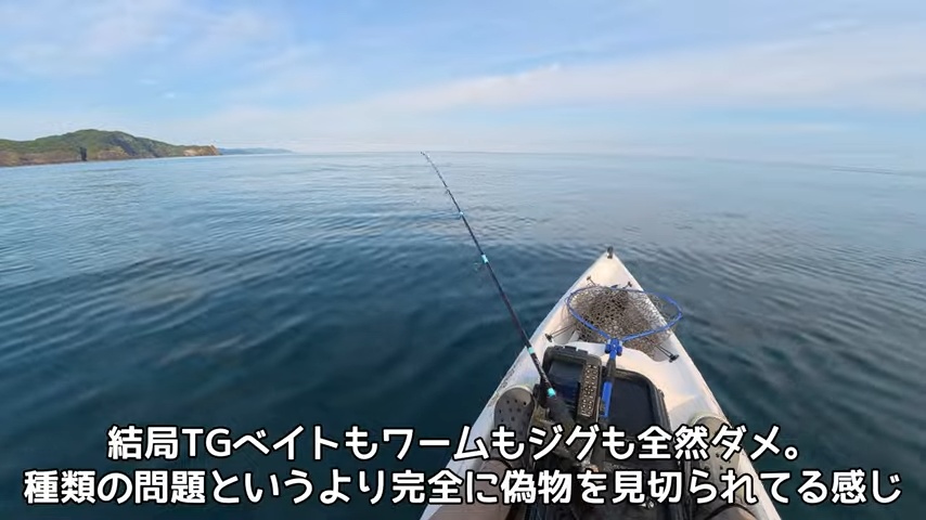釣り系YouTuber、巨大すぎるナブラに遭遇の画像