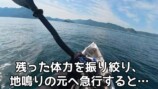 釣り系YouTuber、巨大すぎるナブラに遭遇の画像