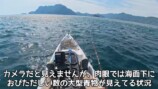 釣り系YouTuber、巨大すぎるナブラに遭遇の画像