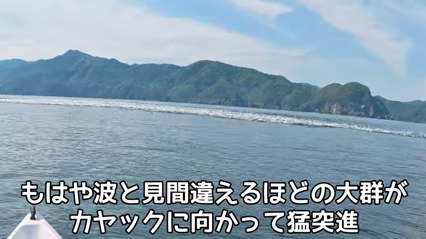 釣り系YouTuber、巨大すぎるナブラに遭遇の画像