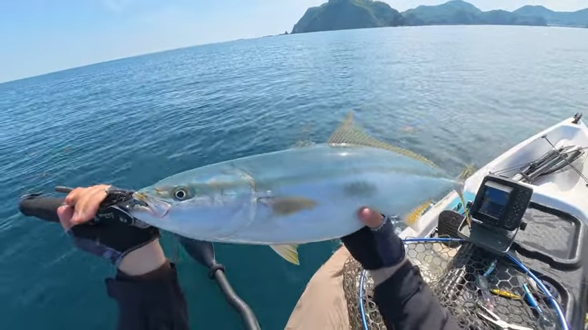 釣り系YouTuber、巨大すぎるナブラに遭遇の画像