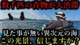 釣り系YouTuber、巨大すぎるナブラに遭遇の画像