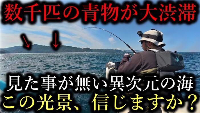 釣り系YouTuber、巨大すぎるナブラ（魚群）に遭遇　夢のような光景も視聴者「さすがに怖い」