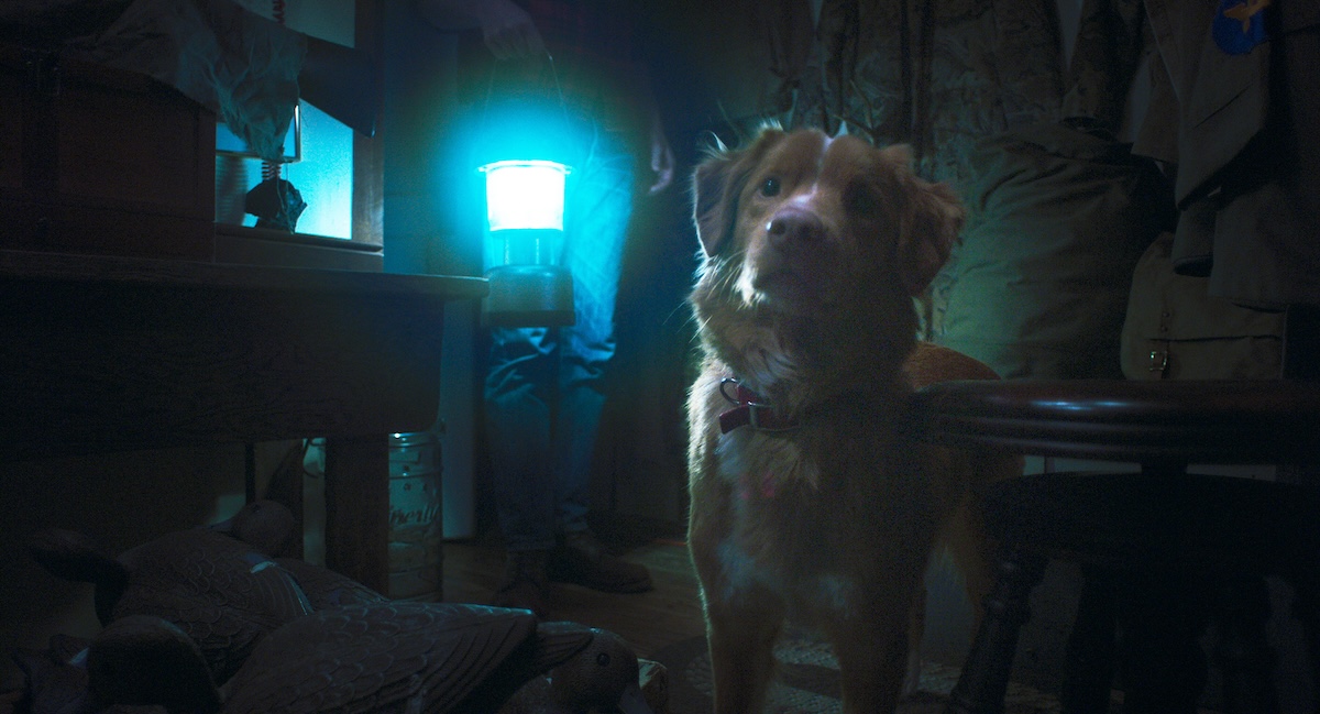『GOOD BOY／グッド・ボーイ』予告編