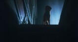 『GOOD BOY／グッド・ボーイ』予告編の画像