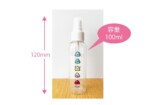 オリジナルハンディスプレーボトル 100ml