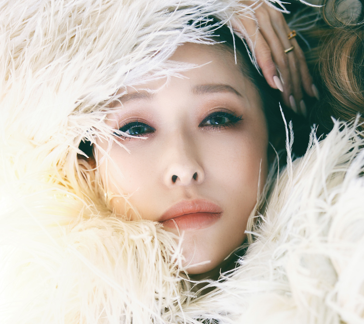 『Velvet Grace』