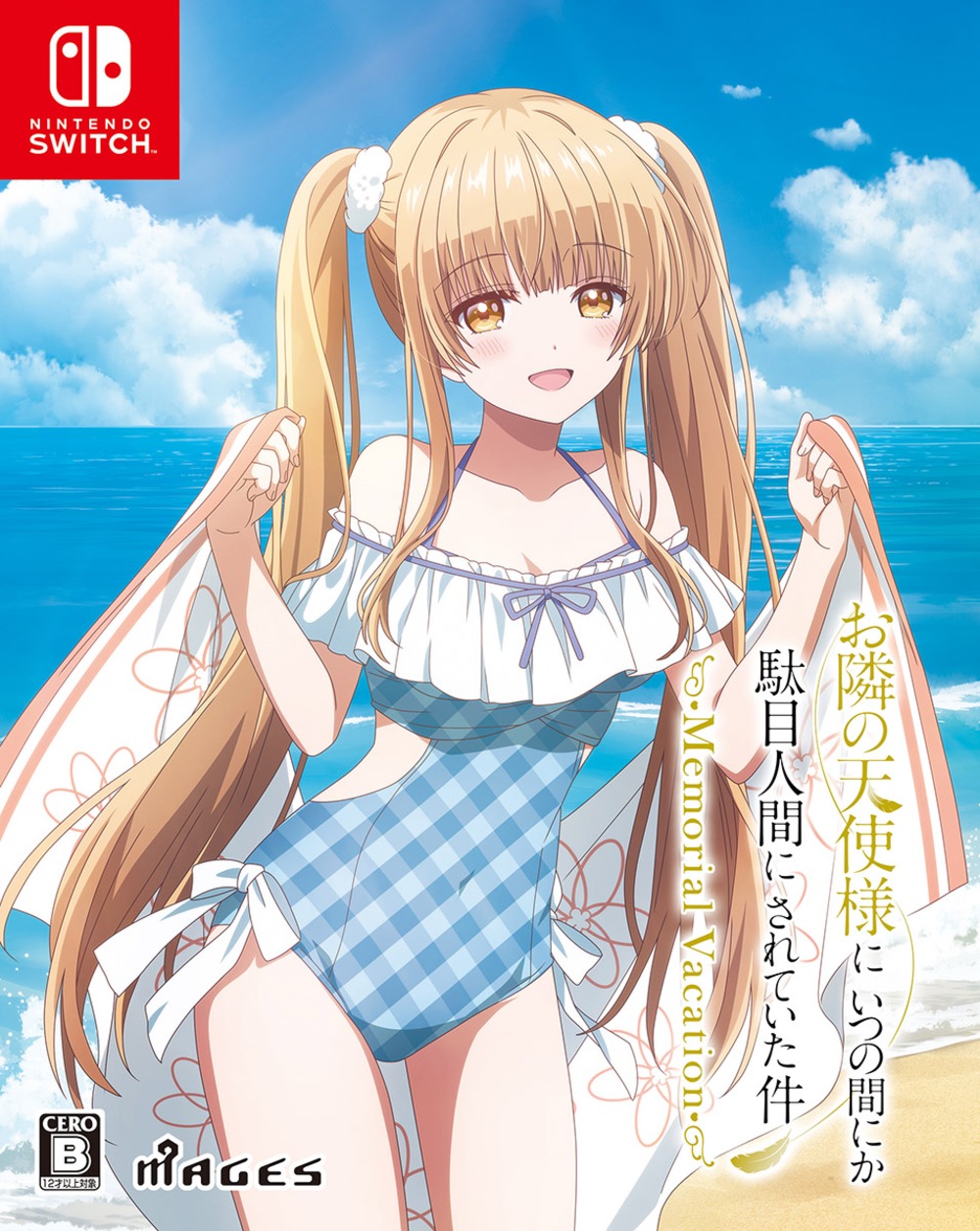 限定版パッケージ