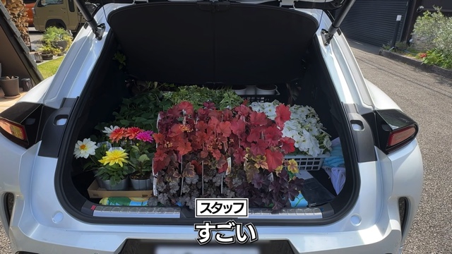 妻の松本伊代とガーデニングをするヒロミ