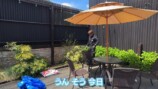 妻の松本伊代とガーデニングをするヒロミ