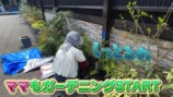 妻の松本伊代とガーデニングをするヒロミ