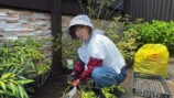 妻の松本伊代とガーデニングをするヒロミ