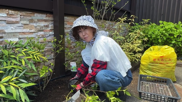 妻の松本伊代とガーデニングをするヒロミ