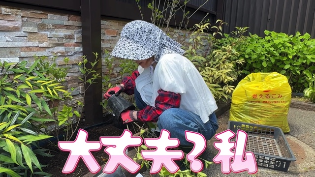 妻の松本伊代とガーデニングをするヒロミ
