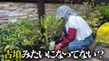 妻の松本伊代とガーデニングをするヒロミ