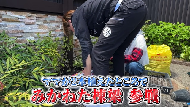 妻の松本伊代とガーデニングをするヒロミ