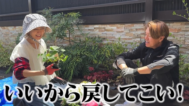 妻の松本伊代とガーデニングをするヒロミ