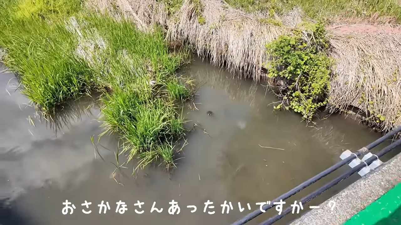 板野友美、家族で東武動物公園を満喫の画像
