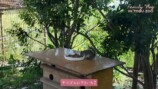 板野友美、家族で東武動物公園を満喫の画像