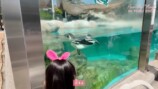 板野友美、家族で東武動物公園を満喫の画像