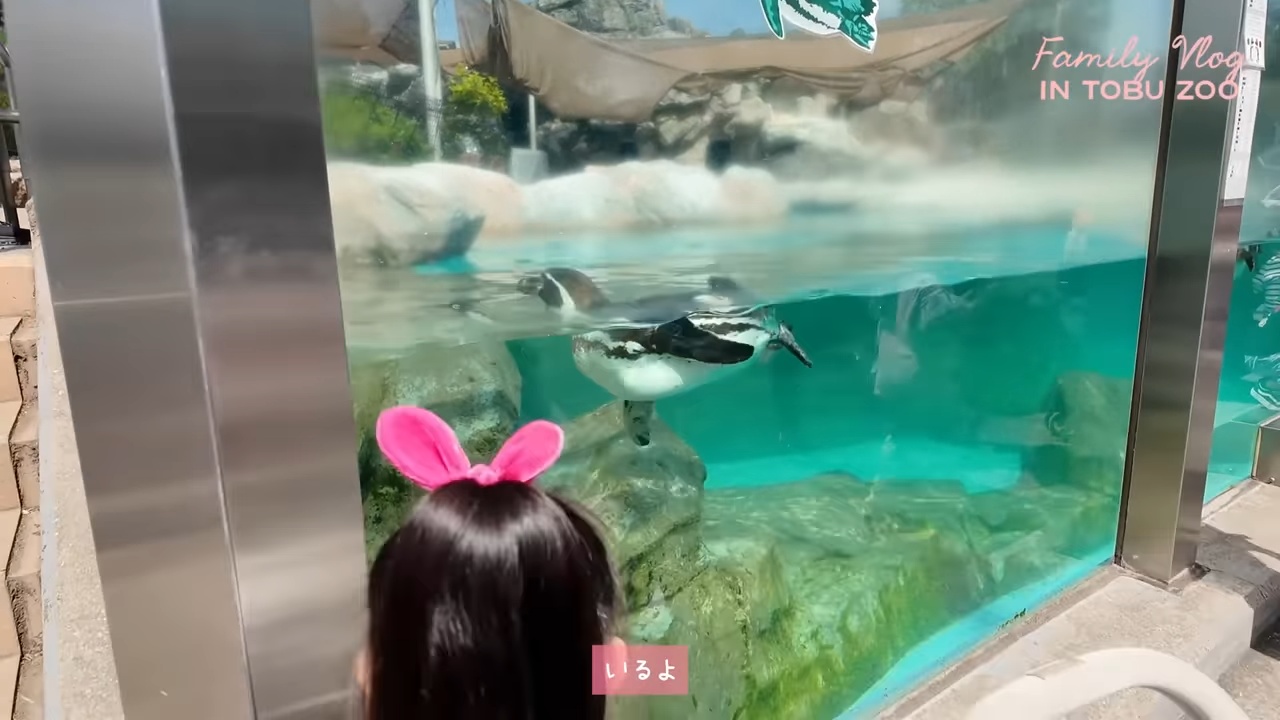 板野友美、家族で東武動物公園を満喫の画像