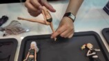 韓国人女性YouTuber、『ホビーショー』を紹介の画像