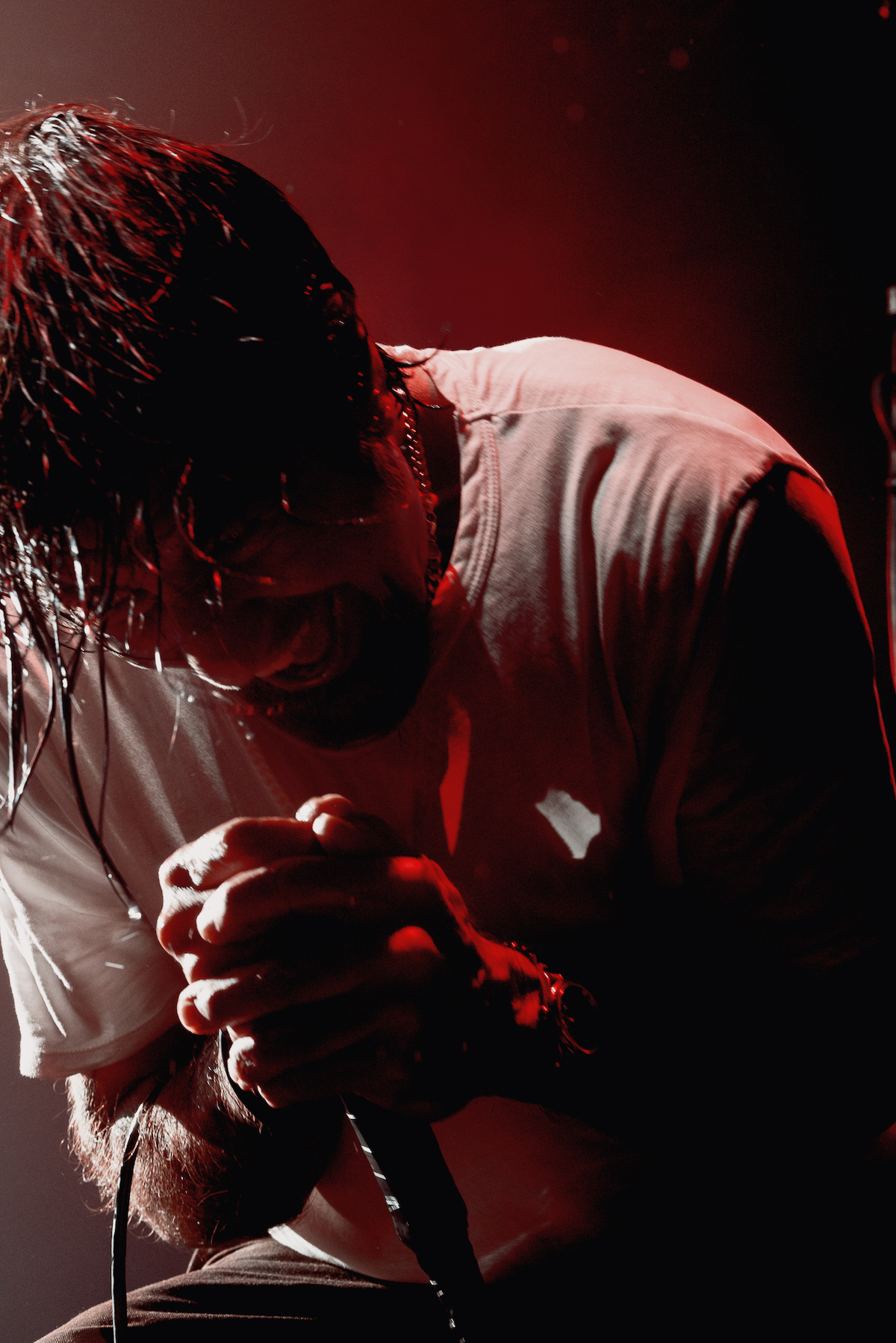 デフトーンズ Deftones(撮影=Clemente Ruiz)