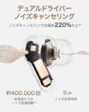 デュアルドライバーノイズキャンセリング