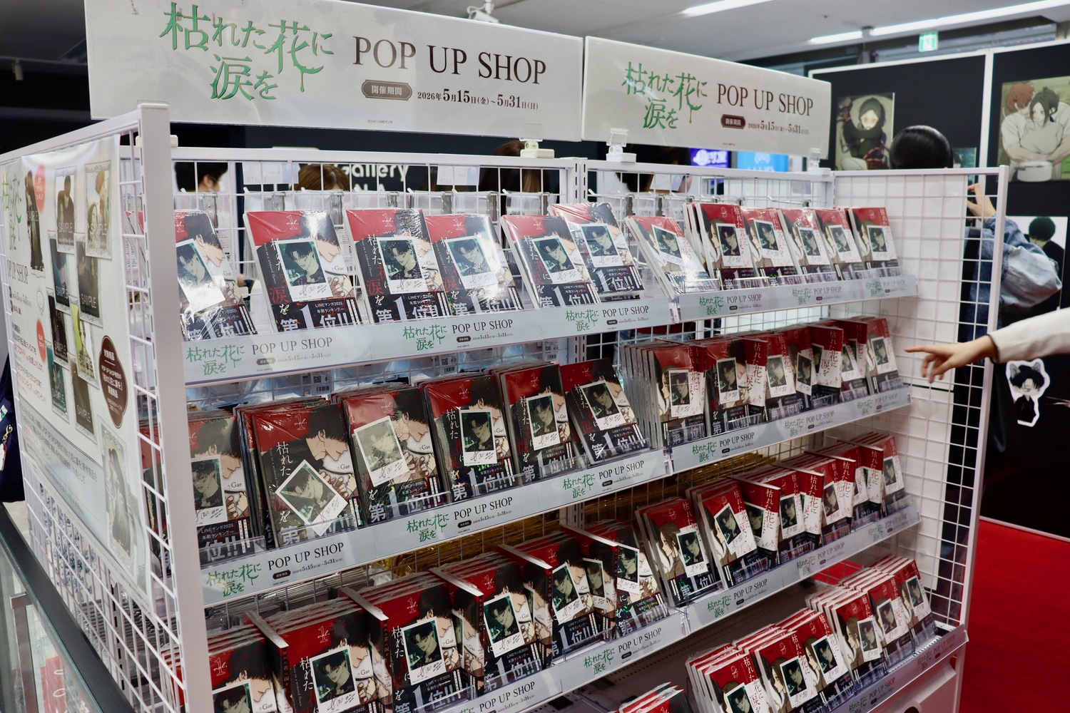 『枯れた花に涙を』日本初のショップレポの画像