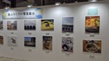 『にじフェス2026』現地レポートの画像
