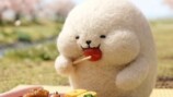 謎の爆食キャラ「しろまるくん」
