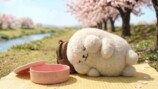 突如話題、謎の爆食キャラ「しろまるくん」の画像